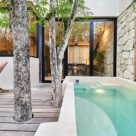 Afra 3 Beautiful Jungle House With Private Pool Villa