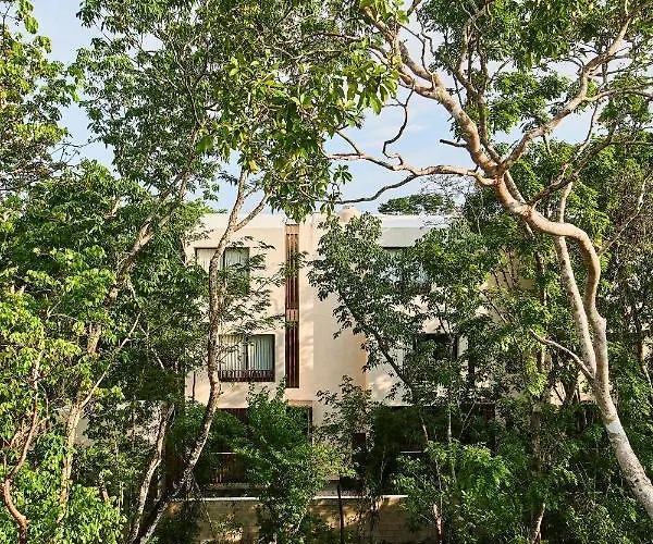 Afra 3 Beautiful Jungle House With Private Pool